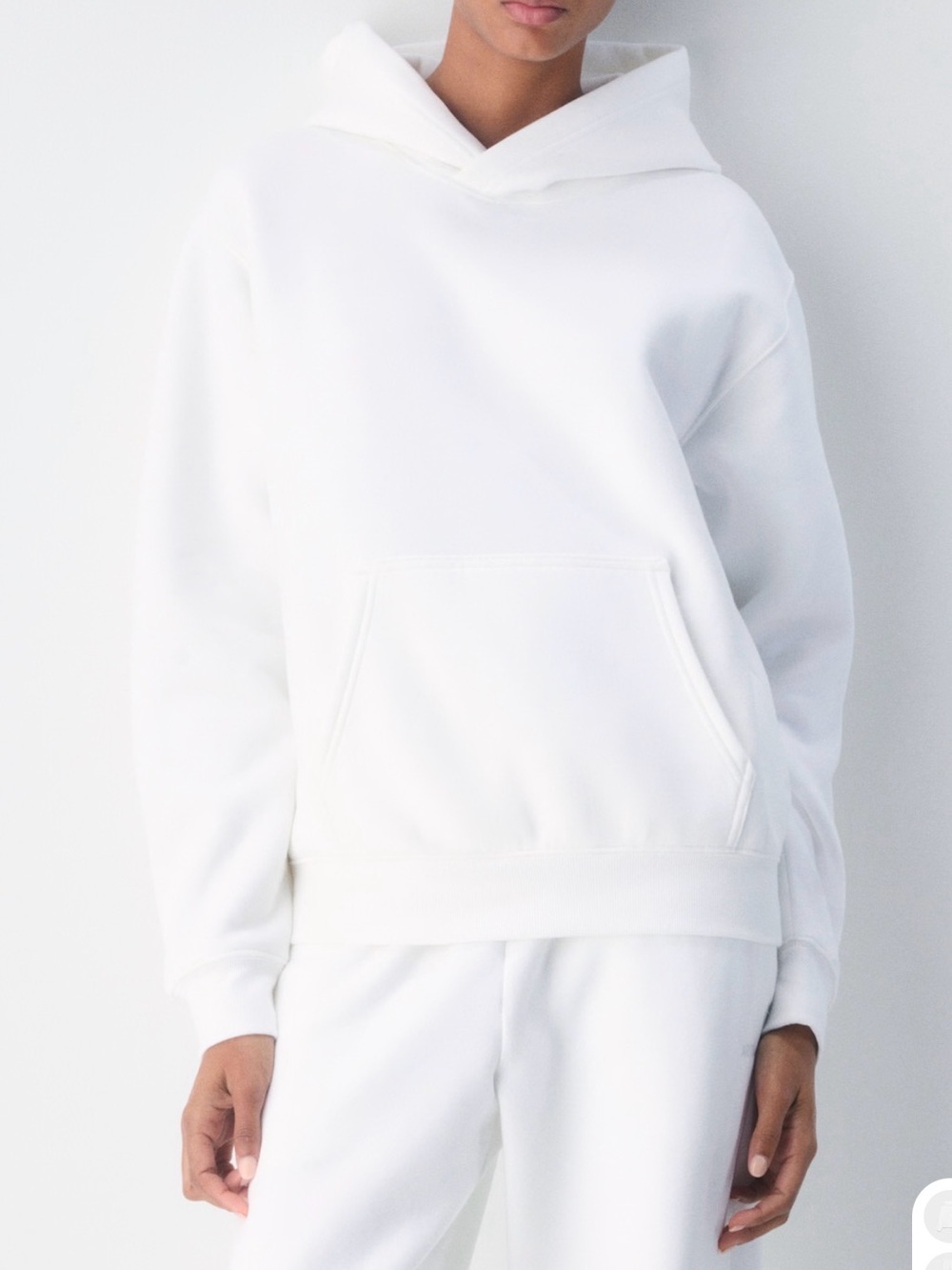 Aritzia Perfect Hoodie Sweatshirt